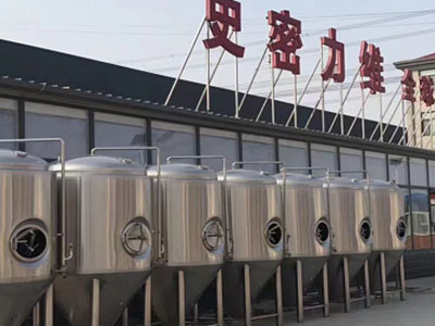 福海精酿啤酒设备厂—市场规模与跨界新需求